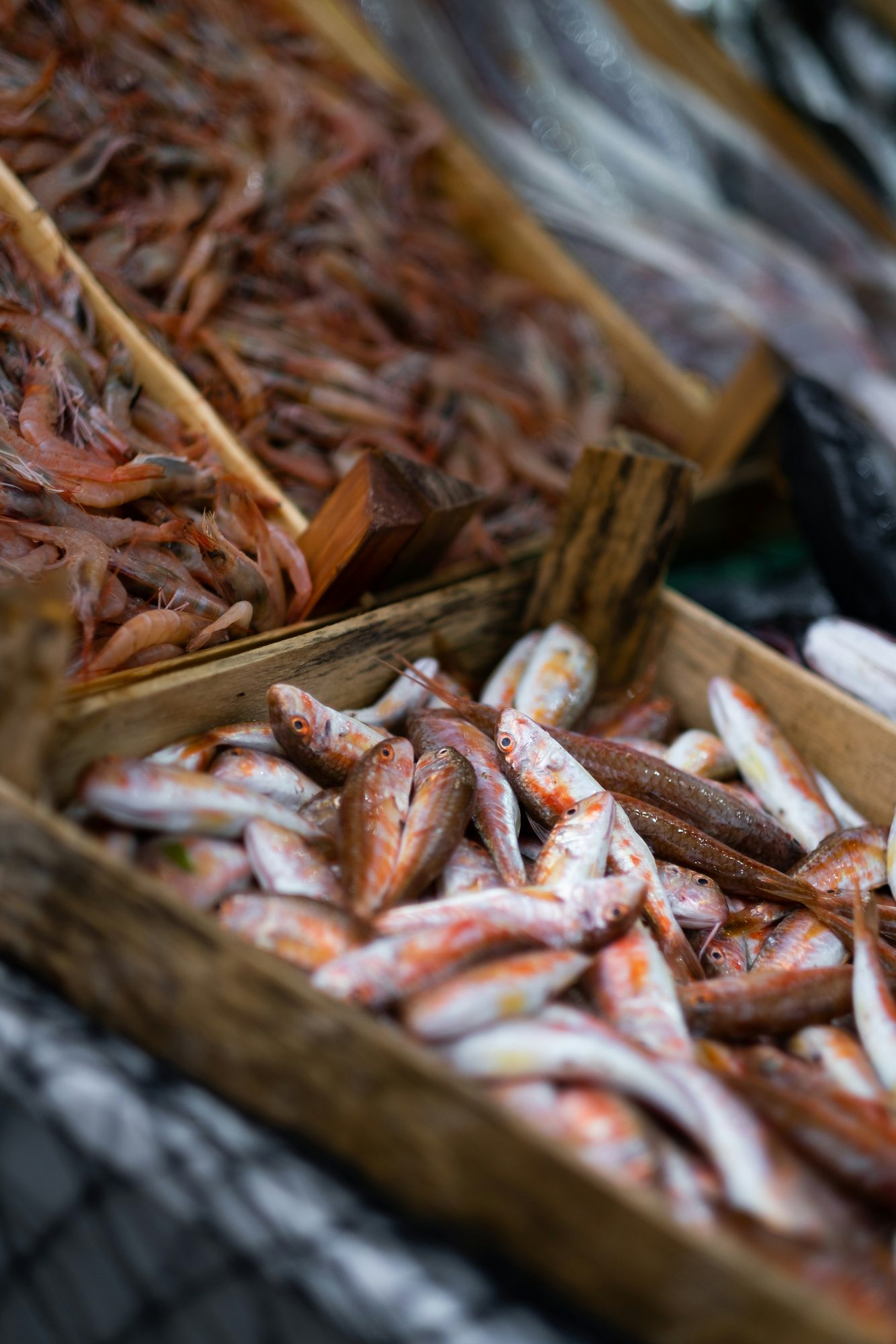 Vis en garnalen uitgestald in houten kratten op de vismarkt